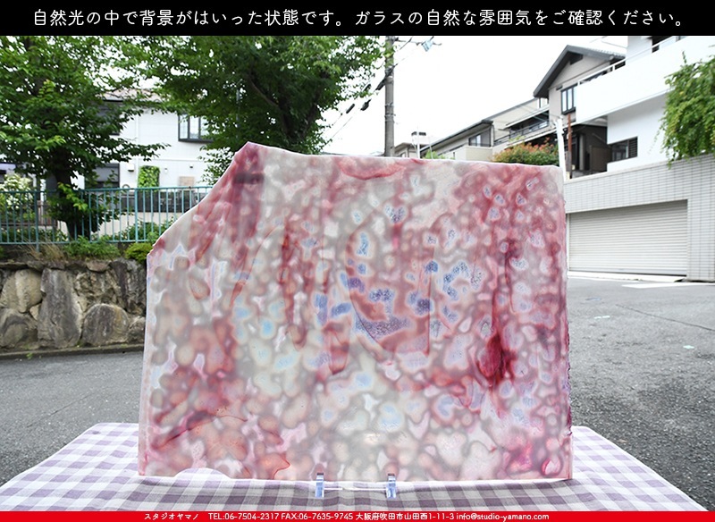 ガラス製　オウム オセアナ_OC_601_C_737202200003_写真の1/2が基本サイズ_34cm×22cm