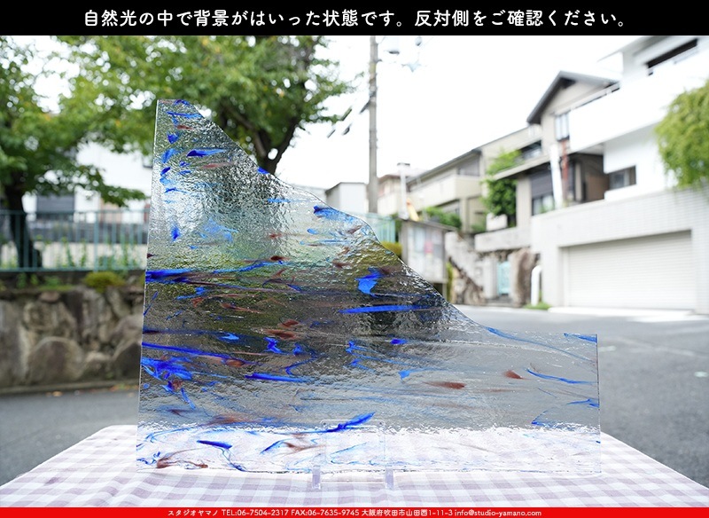 ���åƥ�_MO_946_E_715202400037_�̿������Τ����ܥ�����_40cm��50cm