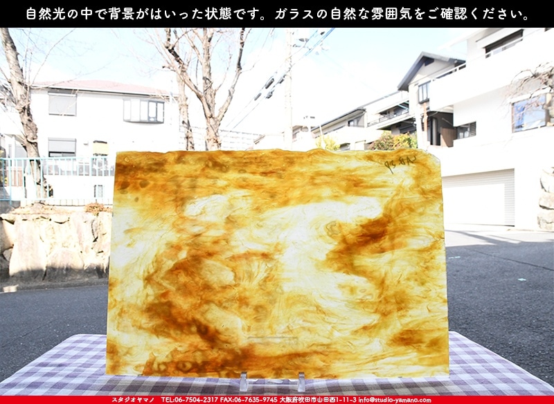 ヤカゲニー_UG_LAB-SP_C_702202200013_写真の1/2が基本サイズ_