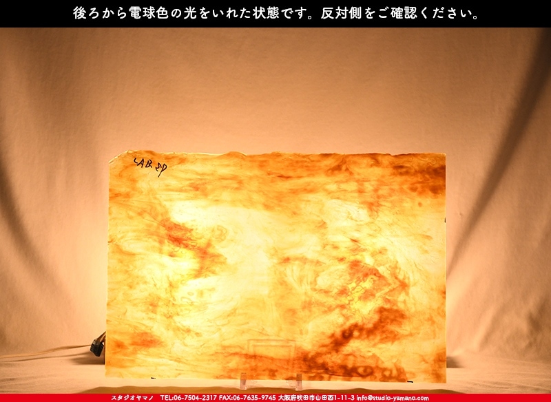 ヤカゲニー_UG_LAB-SP_C_702202200013_写真の1/2が基本サイズ_ ヤカゲニー_UG_LAB-SP_C_702202200013_写真の1/2が基本サイズ_