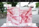 �������ޡ���_W_7-L DR_I_707202200152_�̿���1/4�����ܥ�����_20cm��26cm