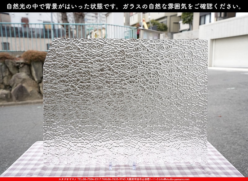 ޡ_W_01 FIG_B_707202500001_̿1/4ܥ_20cm26cm