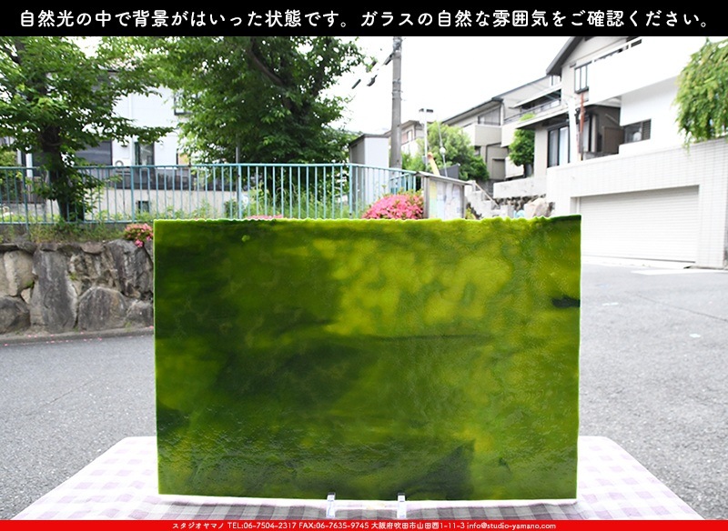ヤカゲニー_UG_4403-RG_A_702202300037_写真の1/2が基本サイズ_30cm