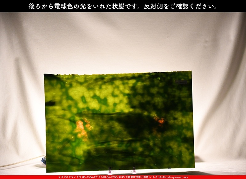 ヤカゲニー_UG_4403-RG_A_702202300037_写真の1/2が基本サイズ_30cm
