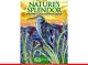 NATURE��S SPLENDOR[STAINED GLASS PATTERN BOOK]