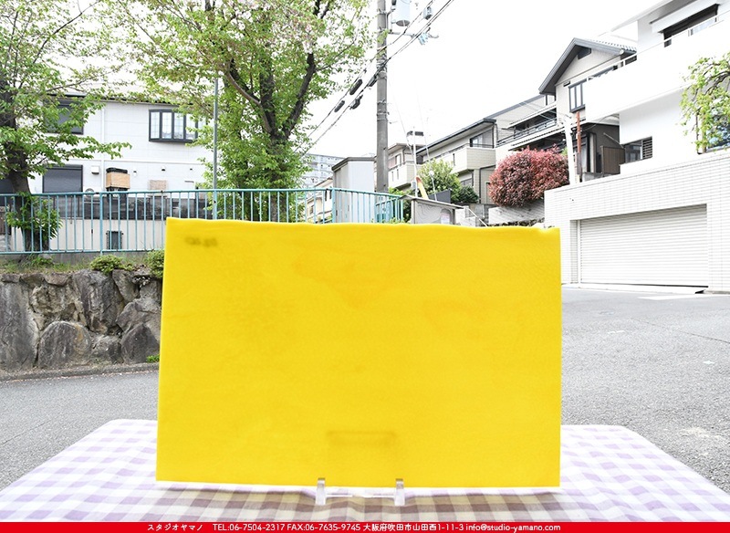 APOLLO×OZworld ver 【スタジオサンプル】 ブルザイ_BU_0220-0030_BUF_C_719202200030_写真の1/2が基本サイズ_