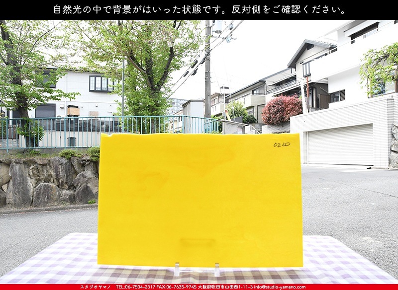 ブルザイ_BU_0220-0030_BUF_C_719202200030_写真の1/2が基本サイズ_