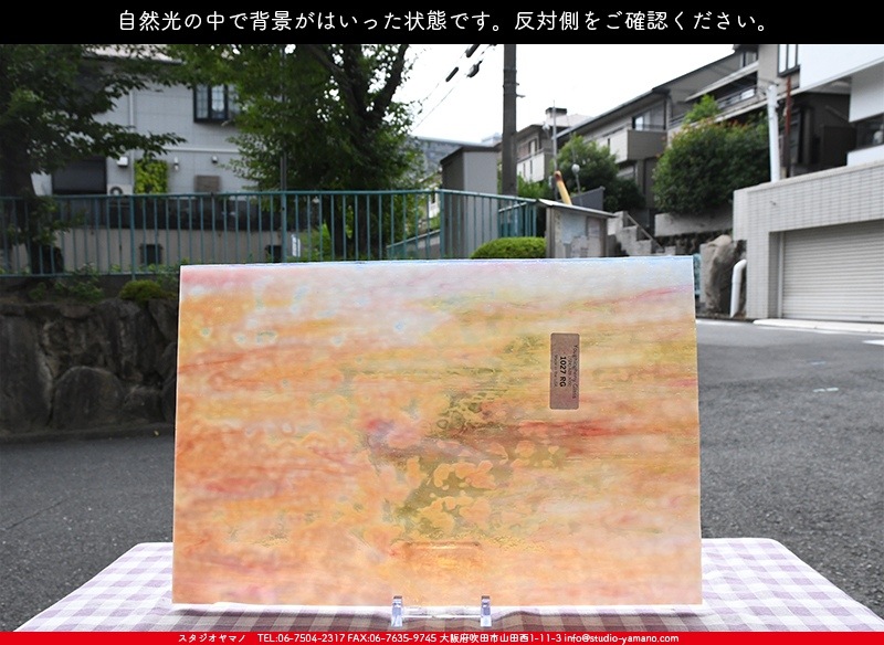 �䥫���ˡ�_UG_1027-RG_E_702202200117_�̿���1/2�����ܥ�����_30cm��22cm