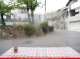 �Ρ��͡���_NN_24-06_17_745202400008_�̿���1/2�����ܥ�����_40cm��25cm