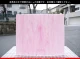 �桼����_JY_00-901_F_746202600001_�̿���1/2�����ܥ�����_38cm��23cm