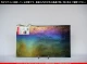 �֥륶��_BU_0100-0051_BUT_C51_719202500050_�̿���1/2�����ܥ�����_25cm��22cm