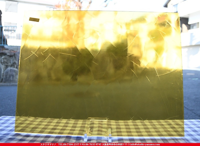 ���󥴥Х�_SGT_046Y_C_7380000T046Y_�̿��ϸ���_20cm��26cm