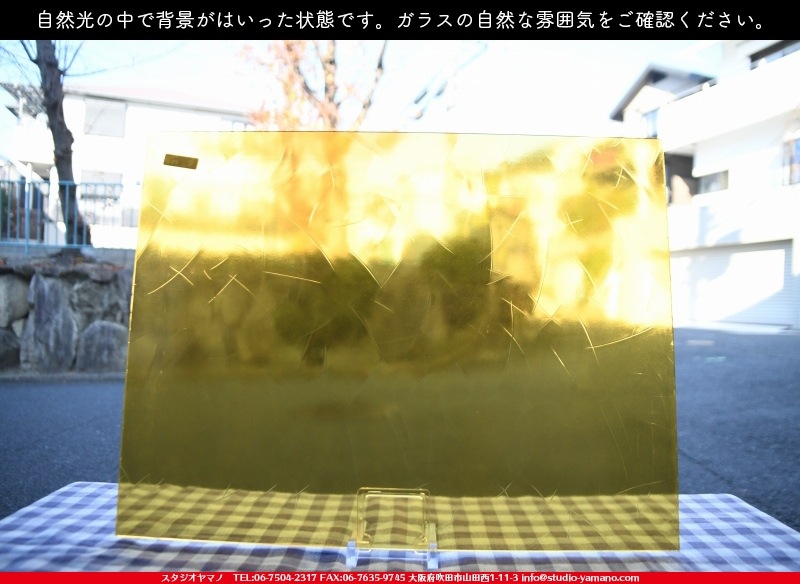 ���󥴥Х�_SGT_046Y_C_7380000T046Y_�̿��ϸ���_20cm��26cm