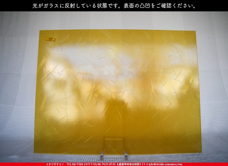 ���󥴥Х�_SGT_046Y_C_7380000T046Y_�̿��ϸ���_20cm��26cm