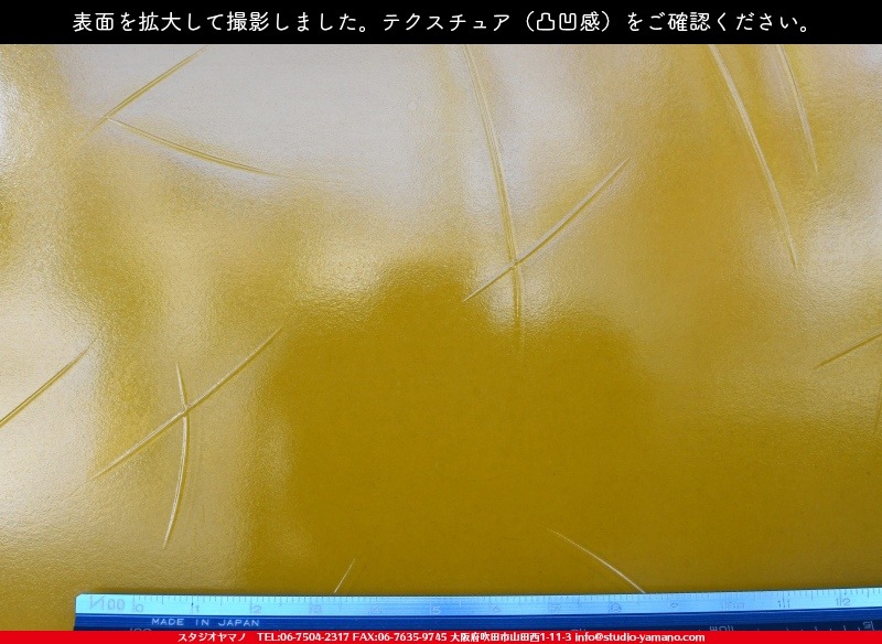 ���󥴥Х�_SGT_046Y_C_7380000T046Y_�̿��ϸ���_20cm��26cm