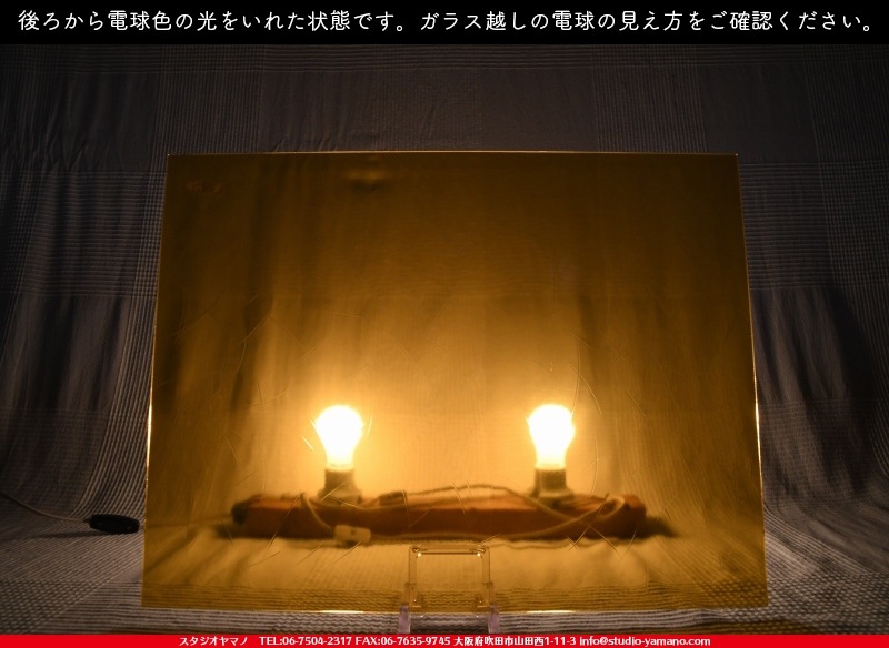 ���󥴥Х�_SGT_046Y_C_7380000T046Y_�̿��ϸ���_20cm��26cm