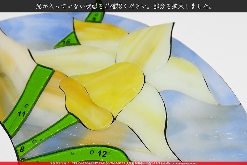 ���å�_�ե������_Daffodil�ֿ����_17cm��27��_22�ԡ���120000000001