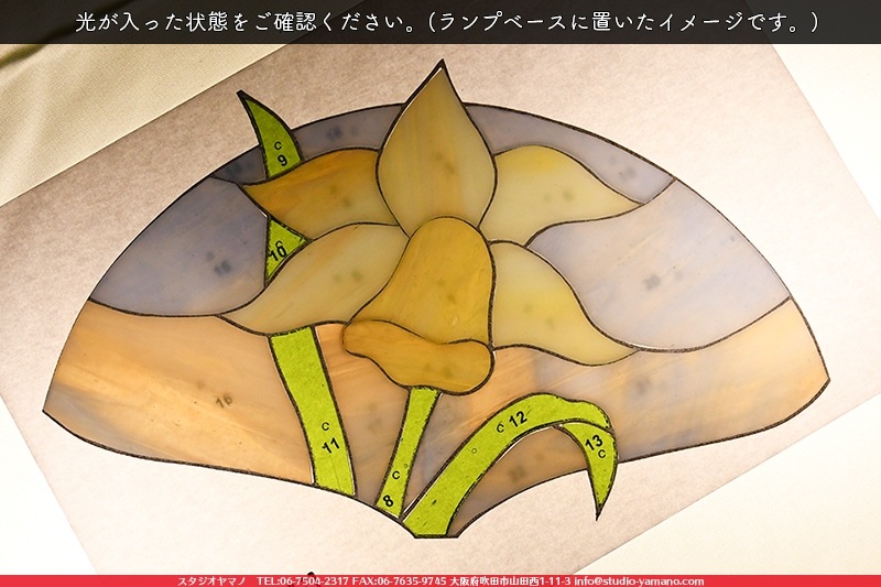 ���å�_�ե������_Daffodil�ֿ����_17cm��27��_22�ԡ���120000000001