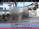 ���åƥ�_MO_928_E_715202200055_�̿���1/2�����ܥ�����_24cm��12cm