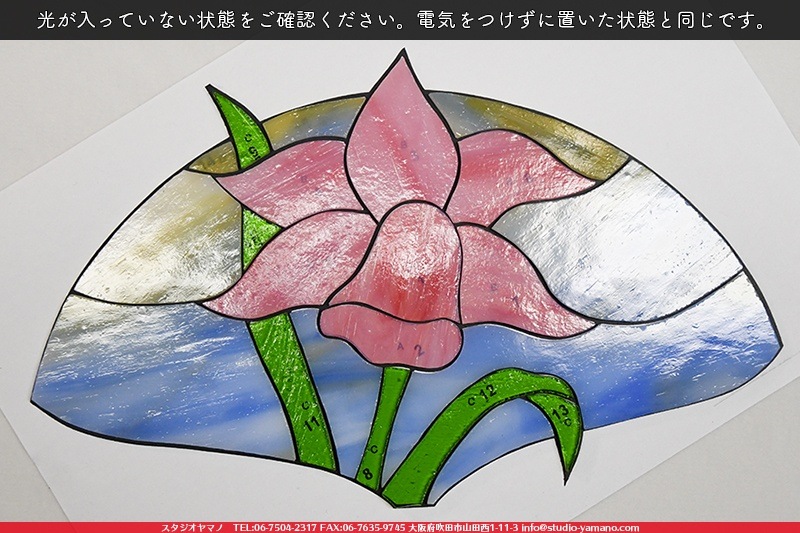 ���å�_�ե������_Daffodil�ֿ����_17cm��27��_22�ԡ���120000000002