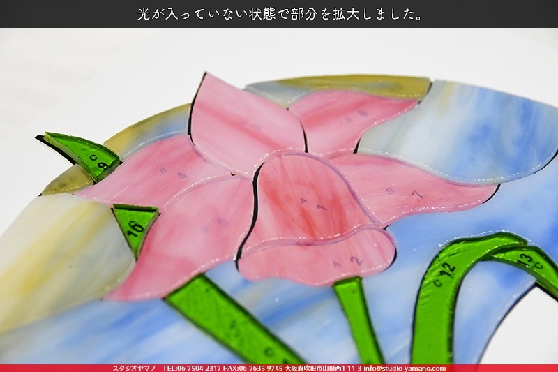 ���å�_�ե������_Daffodil�ֿ����_17cm��27��_22�ԡ���120000000002