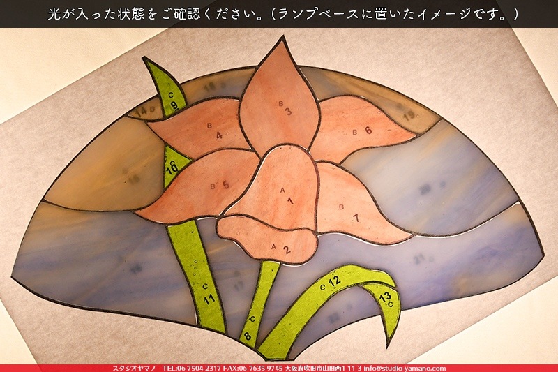 ���å�_�ե������_Daffodil�ֿ����_17cm��27��_22�ԡ���120000000002