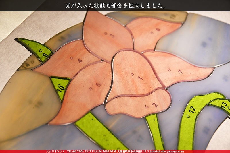 ���å�_�ե������_Daffodil�ֿ����_17cm��27��_22�ԡ���120000000002