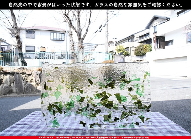 �֥륶��_BU_4325-0000_BU_K_719202200014_�̿���1/2�����ܥ�����_25cm��22cm