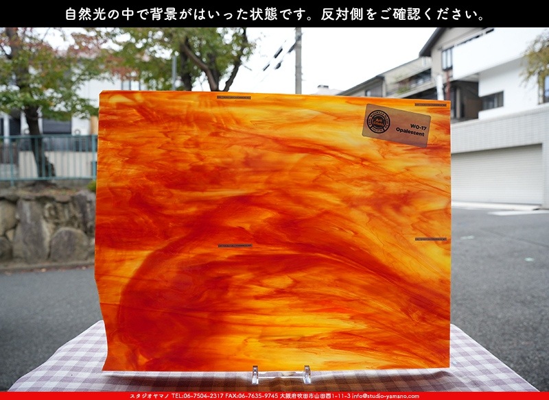 �������ޡ���_W_WO-17 DR_E_707202300380_�̿���1/4�����ܥ�����_20cm��25cm