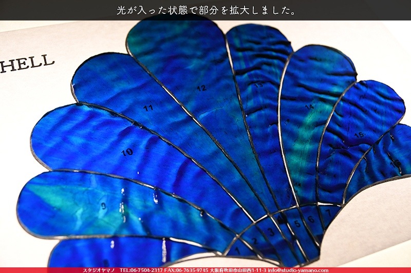 ���å�_�ե������_Shell�ֳ���_20cm��25cm_16�ԡ���120000000003