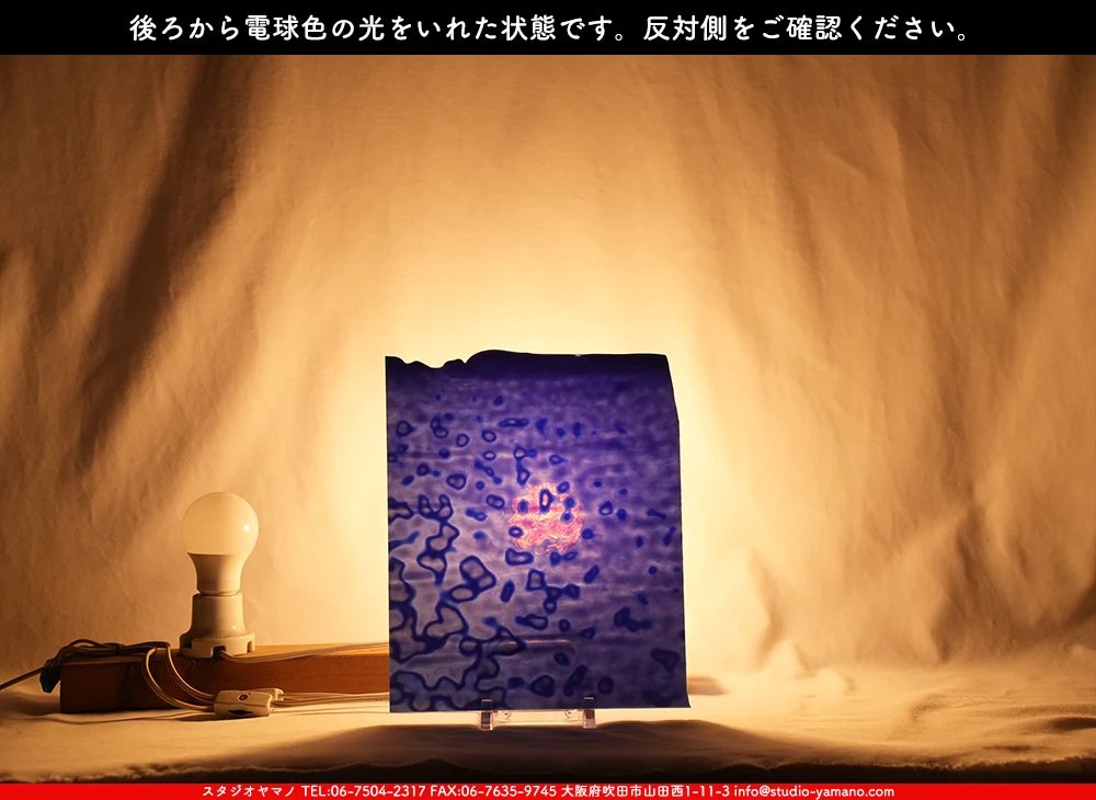 �֥륶��_BU_6014-0000_BU_D_719202500040_�̿������Τ����ܥ�����_25cm��22cm