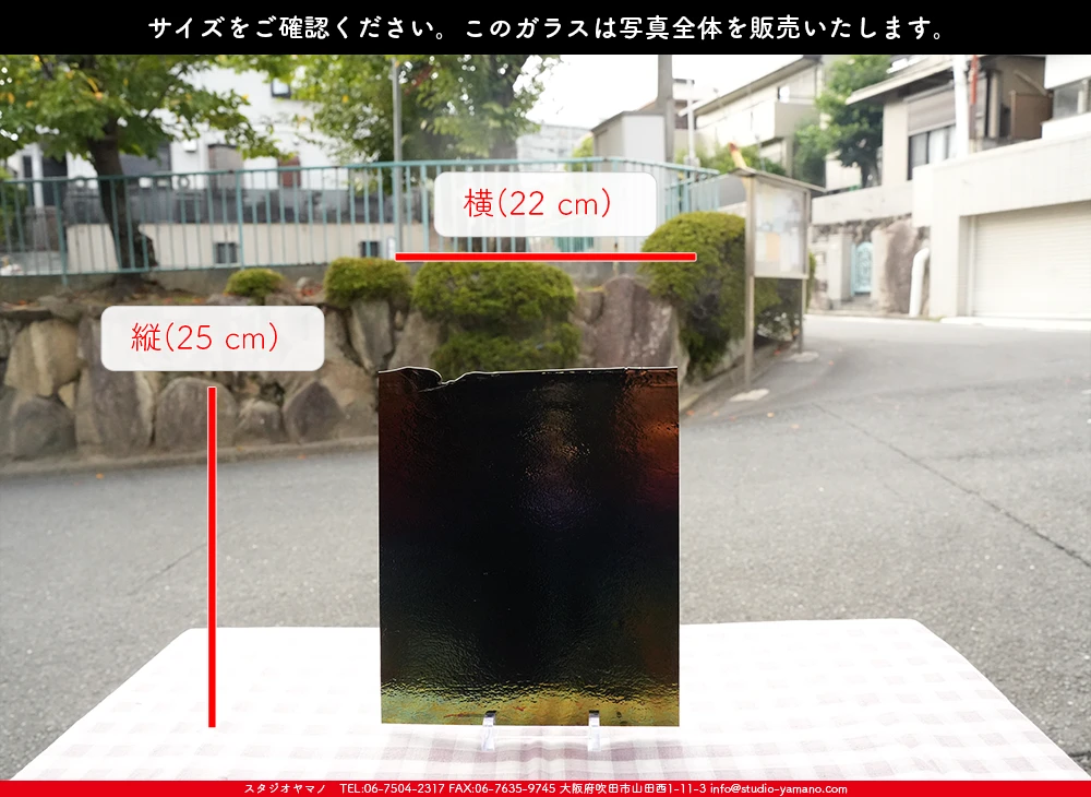 �֥륶��_BU_0100-0051_BUT_C51_719202500041_�̿������Τ����ܥ�����_25cm��22cm