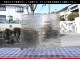 ���åƥ�_MO_964_E_715202200060_�̿���1/2�����ܥ�����_24cm��12cm