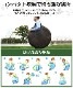 ̵ ƥ 󥿥å 緿 ݥåץå  եߥ꡼ 󥿥å ƥ 5 ͤ ȤΩ ݥåץåץƥ 褱 С٥塼  ƥ  ȥɥ  ȥɥå outdoor ȥɥ 