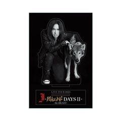 ������륹�����/wolf