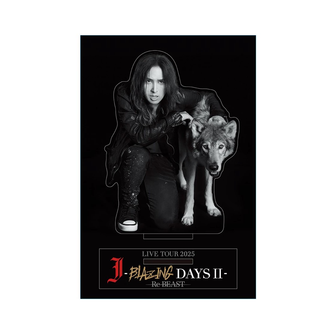 ������륹�����/wolf