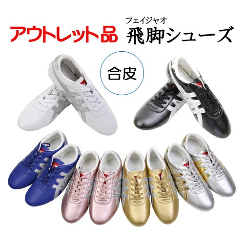OUTLET】『ジュニアサイズあり19.0cm～』NEW武術太極拳シューズ