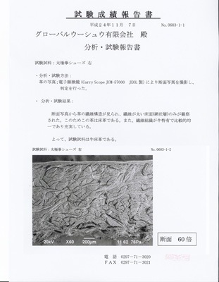 saleۥݥȣ ʥ˥塼ۥ磻ȡز졦ΥؤϹף߰ʾǤޤ