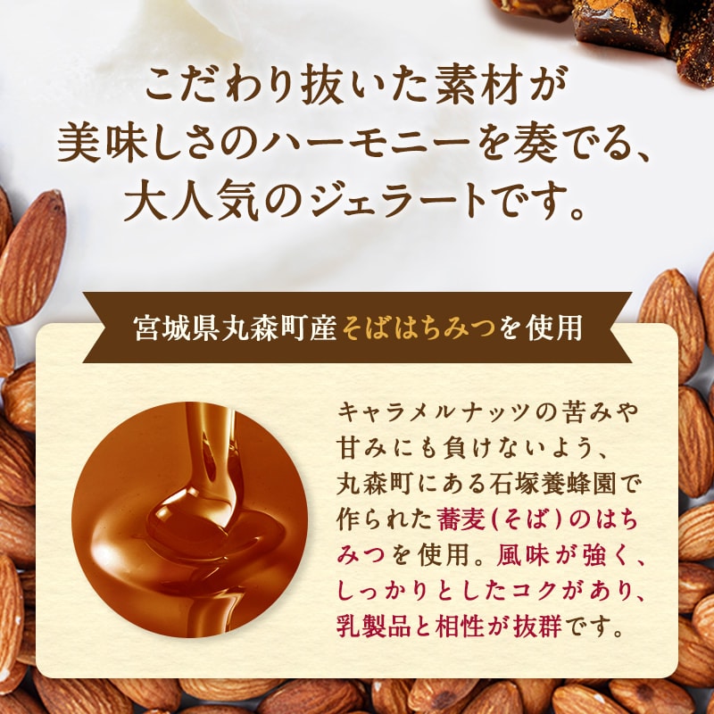 【選べる容量】はちみつナッツ ジェラート