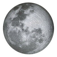 月のジグソーパズル moon　1000ピース