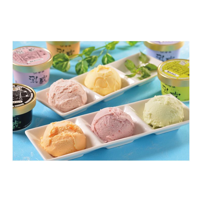 乳蔵　北海道アイスクリーム5種 16個
