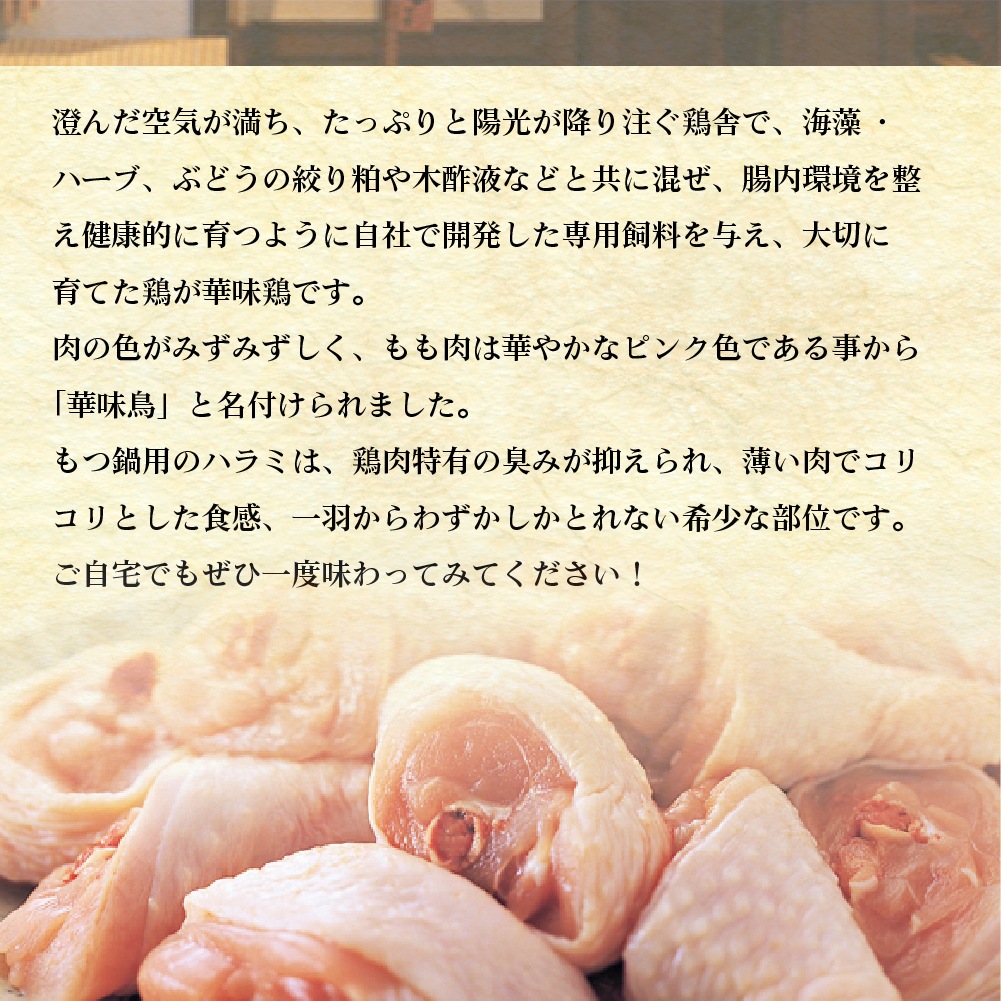 博多華味鳥 もつ鍋セット RHM-50