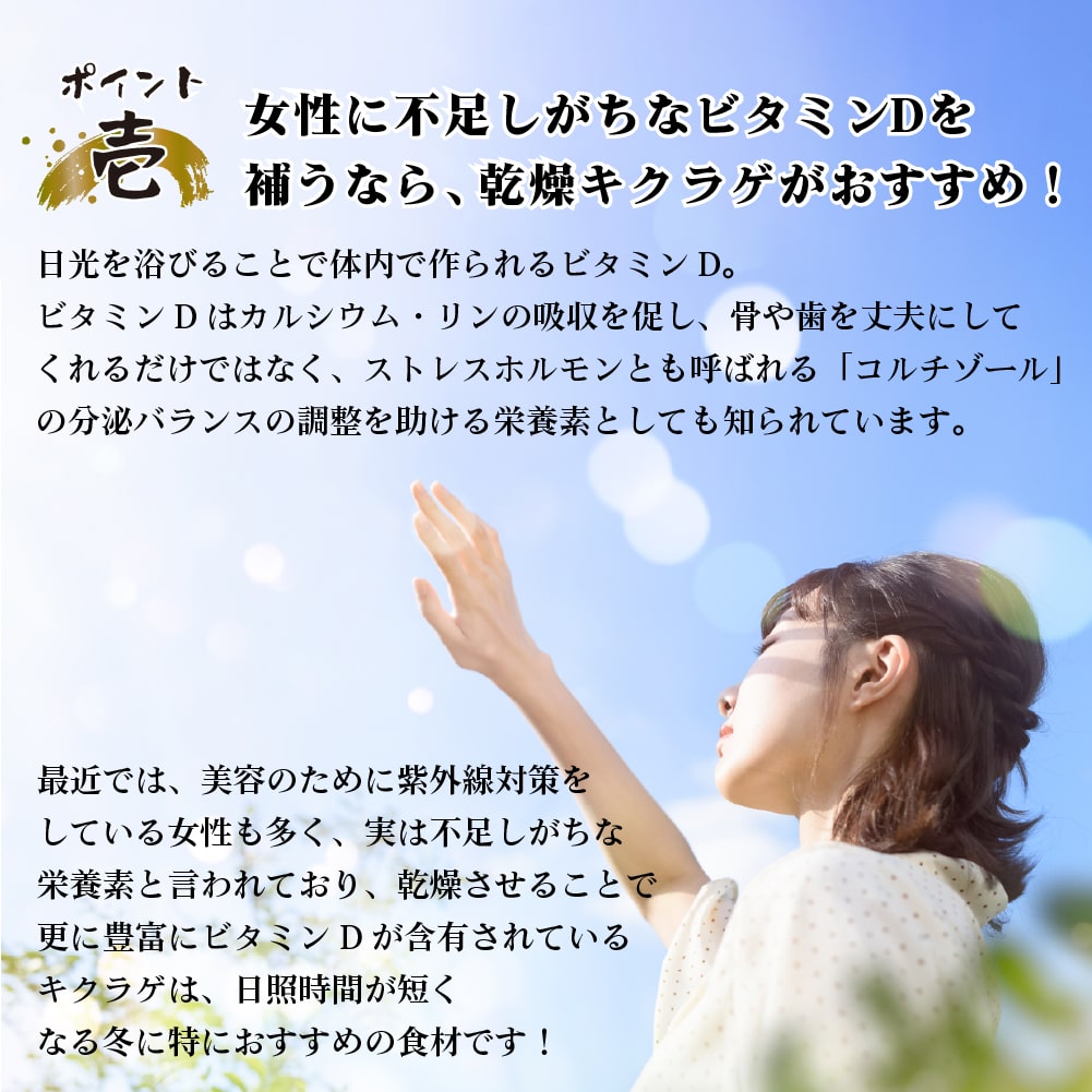 熊本県産乾燥きくらげ3点セット