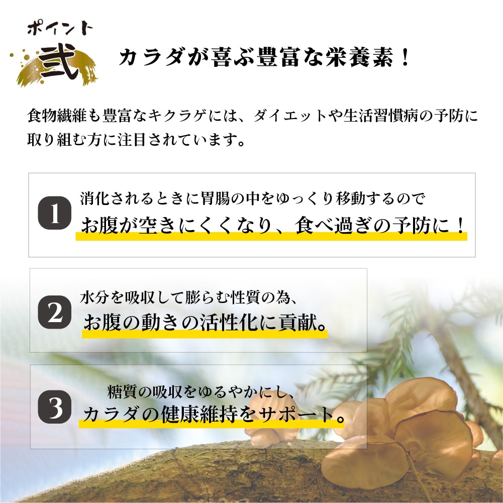 熊本県産乾燥きくらげ3点セット