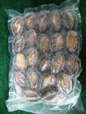 ����衺�����(�ܿ�)��31/40