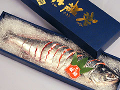 ��������¤�������̵����