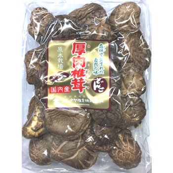 �ɤ󤳤�������  �ڶ彣����