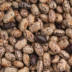 ΤƦ 6ǯ̳ƻۡڥ᡼б/11kgޤǡ