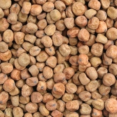 �֤���ɤ�Ʀ ������7ǯ �̳�ƻ���ۡڥ᡼�����б�/1��1kg�ޤǡ�