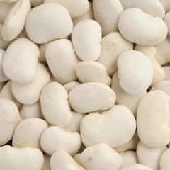 ���Ʀ (�򤤤󤲤�) ������6ǯ���̳�ƻ���ۡڥ᡼�����б�/1��1kg�ޤǡ�